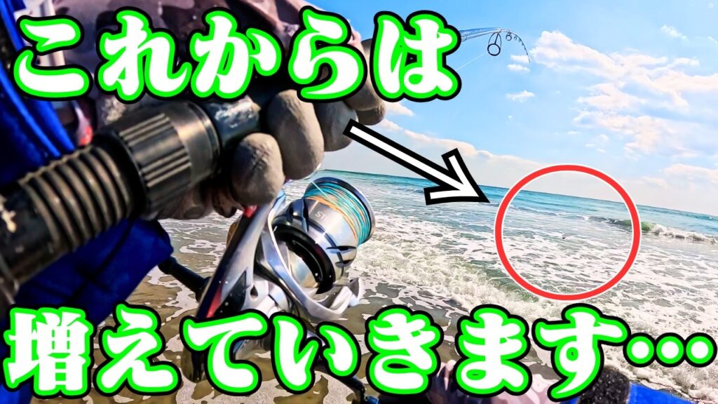 遠州灘サーフで真冬から急に気温が上がると釣れる○○。それは・・・🐟in遠州灘、田原サーフ【釣行日2025/02/26(水)】