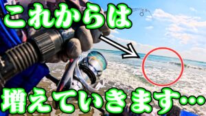 遠州灘サーフで真冬から急に気温が上がると釣れる○○。それは・・・🐟in遠州灘、田原サーフ【釣行日2025/02/26(水)】