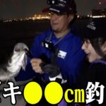 【シーバス🎣】釣りプロ村岡さんと🐟夜のスズキ海釣り大特訓！【#ksonONAIR】