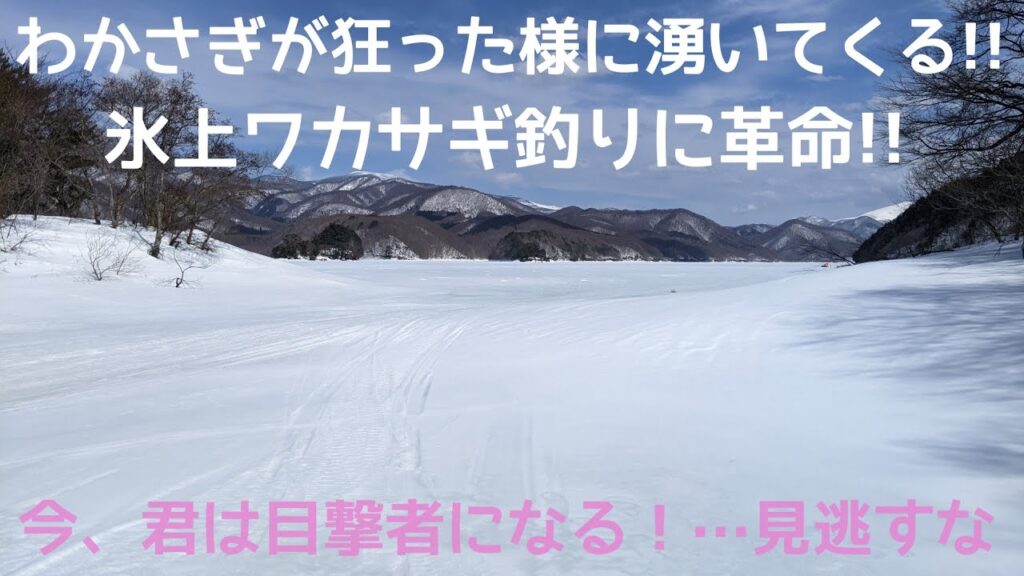 合法!?or違法!?何にしてもかなりヤバイ!!自己責任で氷上ワカサギ釣りを…#わかさぎ釣り#桧原湖#小野川湖#秋元湖#裏磐梯#氷上ワカサギ釣り