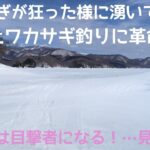 合法!?or違法!?何にしてもかなりヤバイ!!自己責任で氷上ワカサギ釣りを…#わかさぎ釣り#桧原湖#小野川湖#秋元湖#裏磐梯#氷上ワカサギ釣り