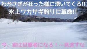 合法!?or違法!?何にしてもかなりヤバイ!!自己責任で氷上ワカサギ釣りを…#わかさぎ釣り#桧原湖#小野川湖#秋元湖#裏磐梯#氷上ワカサギ釣り