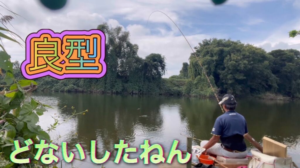 《へらぶな釣り  to  川田谷沼》先週のリベンジは果たせたが、型が…😩まだ底は早いかな。チャンマブばかり😱
