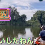 《へらぶな釣り  to  川田谷沼》先週のリベンジは果たせたが、型が…😩まだ底は早いかな。チャンマブばかり😱