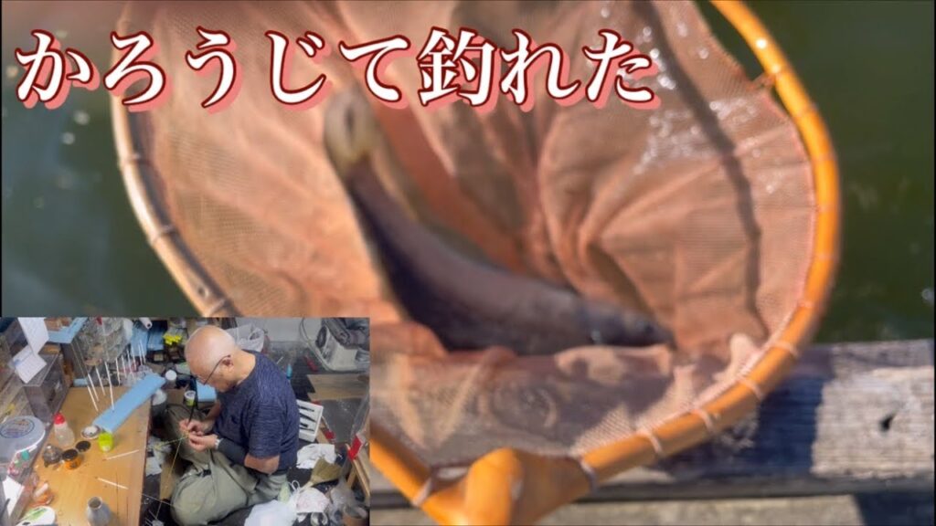 《へらぶな釣り  to  近藤沼と舟水宅に》爆風の中苦戦😩交通事故で釣れちゃった😅