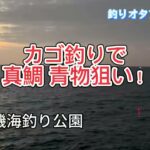【カゴ釣り】秋の平磯海釣り公園　真鯛を狙ってきました！@tsuriota