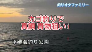 【カゴ釣り】秋の平磯海釣り公園 真鯛を狙ってきました!@tsuriota