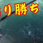【極寒の釣り公園】釣り/海釣り/かぶせ釣り/かかり釣り/碧南海釣り公園/碧南釣り広場/温排水/衣浦湾/クロダイ/チヌ/カキチヌ