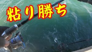 【極寒の釣り公園】釣り/海釣り/かぶせ釣り/かかり釣り/碧南海釣り公園/碧南釣り広場/温排水/衣浦湾/クロダイ/チヌ/カキチヌ