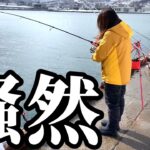 【北海道】【釣り】超人気漁港でヤツらが釣れた