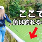 地元の少年に教えてもらったポイントで釣りしたら・・・