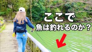 地元の少年に教えてもらったポイントで釣りしたら・・・