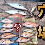 海が時化て唯一釣りができる所で釣りしたら凄かった！珍しい魚も…【浮き釣り】【フカセ釣り】