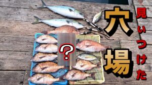海が時化て唯一釣りができる所で釣りしたら凄かった！珍しい魚も…【浮き釣り】【フカセ釣り】