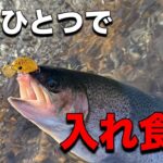 このルアー爆釣すぎるッ！！【エリアトラウト】【裾野フィッシングパーク】