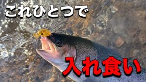 このルアー爆釣すぎるッ！！【エリアトラウト】【裾野フィッシングパーク】