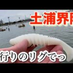 デッドスローラー縛り  全力で！ バス釣り おかっぱり 霞ヶ浦