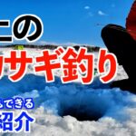 【ワカサギ釣り】誰でもできる！氷の湖の上でのワカサギ釣りの方法を徹底紹介！