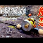 【渓流釣り】山梨渓流解禁は天然イワナと放流アマゴ狙っちゃいますよ!!