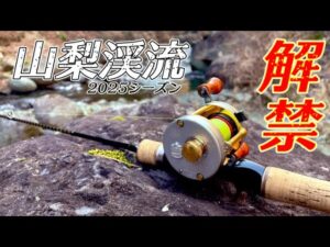 【渓流釣り】山梨渓流解禁は天然イワナと放流アマゴ狙っちゃいますよ!!