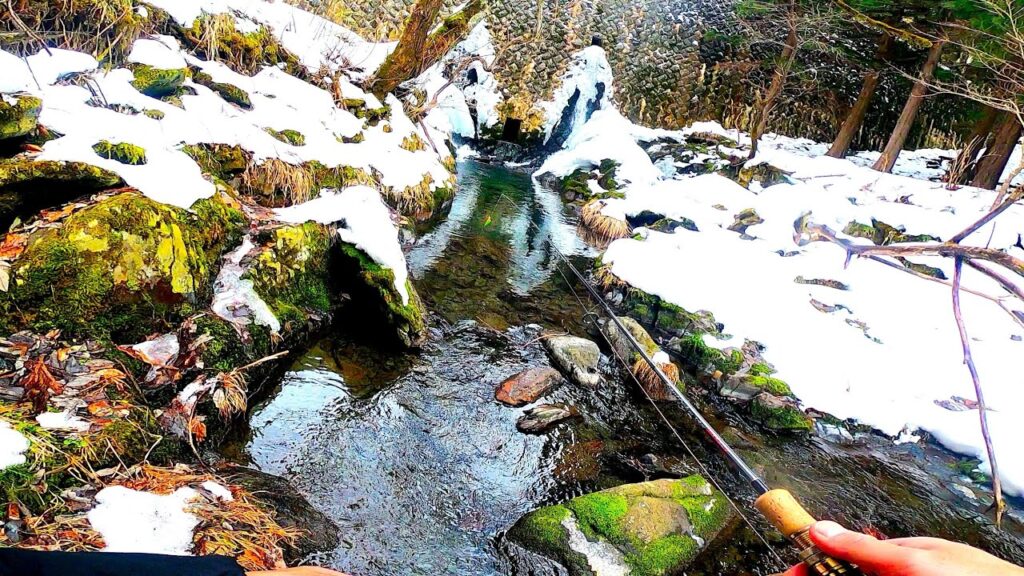 【渓流ルアー】砂防ダムの下に、魚がたまっていました。