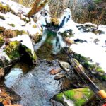 【渓流ルアー】砂防ダムの下に、魚がたまっていました。