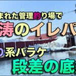 雪に囲まれた管理釣り場で怒涛のイレパク！！ぽろり系バラケ　段差の底釣り
