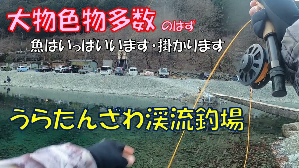 広々としたストリーム型管理釣り場「うらたんざわ渓流釣場」＠神奈川県相模原市の奥の方