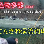 広々としたストリーム型管理釣り場「うらたんざわ渓流釣場」＠神奈川県相模原市の奥の方