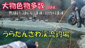 広々としたストリーム型管理釣り場「うらたんざわ渓流釣場」＠神奈川県相模原市の奥の方