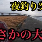 穏やかな真冬の浜名湖へ。夕マズメから夜釣り突入🔥