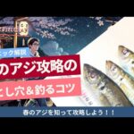 【テクニック解説】春アジ攻略の落とし穴＆短釣るコツ
