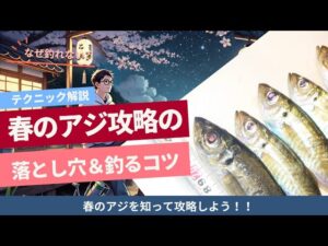 【テクニック解説】春アジ攻略の落とし穴&短釣るコツ