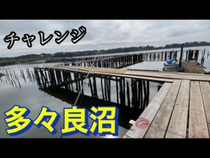 素晴らしい沼続 可能性大!!! 多々良沼 バス釣り おかっぱり