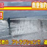 【大阪市廃プール】南港海釣り公園　「天然の　アトラクションで　遊べるよ」