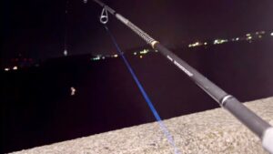 夜の海で巨大魚を釣る