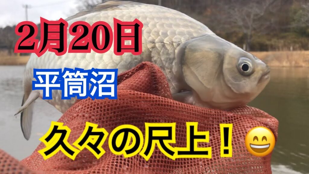 へらぶな釣り 久々に弱風なので平筒沼ふれあい公園