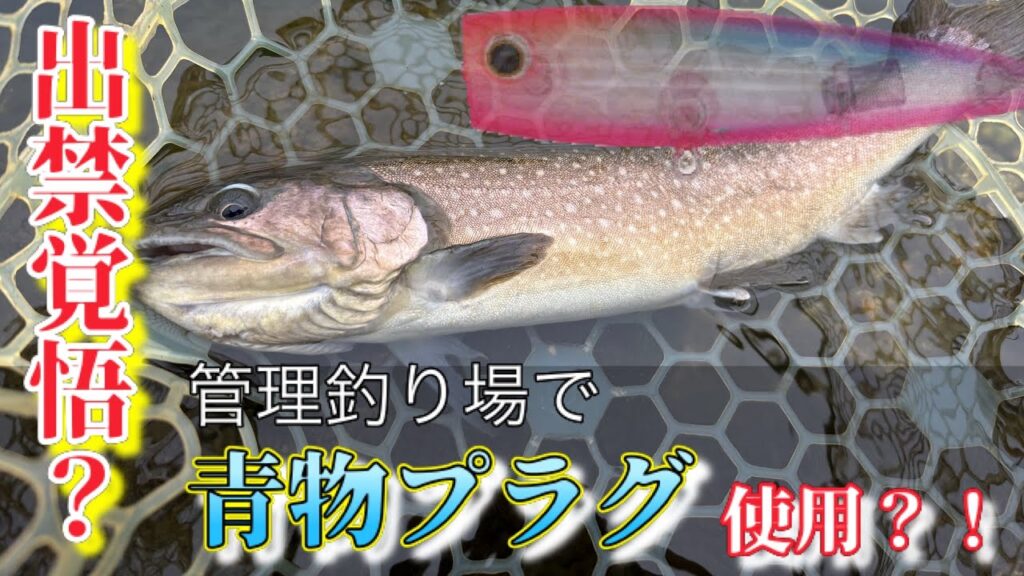 【エリアトラウト】【高島の泉】管理釣り場でショアプラ？！