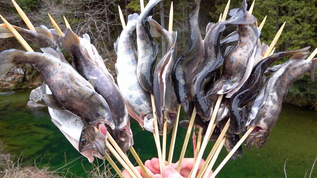 山の土地にながれる川で、アマゴ釣りまくってその場で即炭火焼きしてみた！