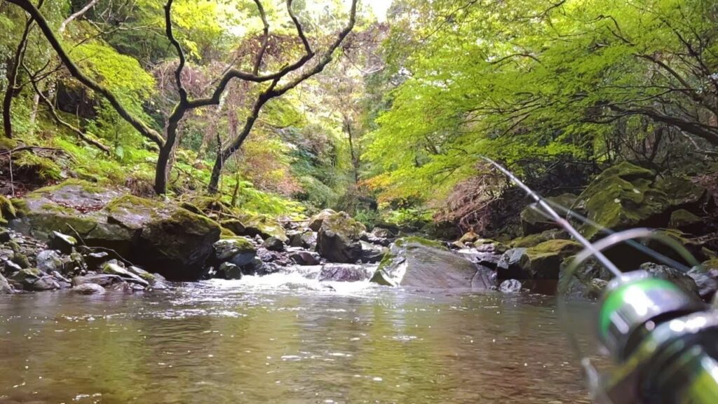 【渓流ルアー】伊豆には本来いないとされるあの魚を探しに、シーズン最後の釣行に賭ける【静岡】
