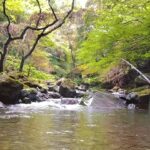 【渓流ルアー】伊豆には本来いないとされるあの魚を探しに、シーズン最後の釣行に賭ける【静岡】