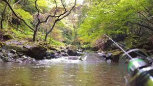 【渓流ルアー】伊豆には本来いないとされるあの魚を探しに、シーズン最後の釣行に賭ける【静岡】