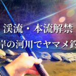【渓流釣り】【餌釣り】渓流本流解禁！ヤマメ釣り。