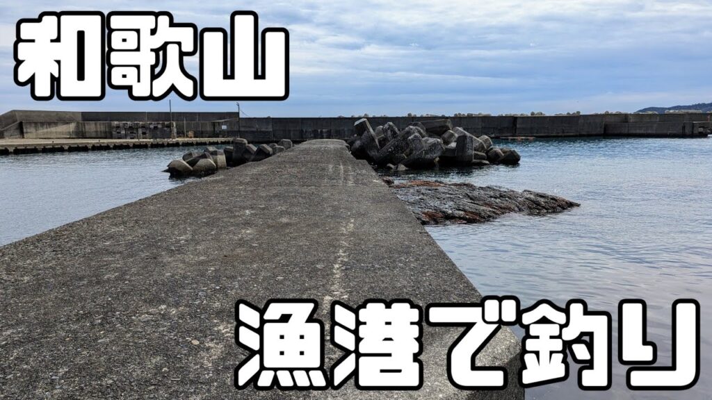 【和歌山】南紀串本の漁港で釣りしました【海釣り/堤防釣り】