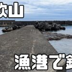【和歌山】南紀串本の漁港で釣りしました【海釣り/堤防釣り】