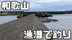 【和歌山】南紀串本の漁港で釣りしました【海釣り/堤防釣り】