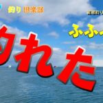 【北海道　釣り】　よし！釣れた！ホッケ＆クロガシラ