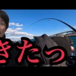 真冬の遠州灘サーフから浜名湖海釣り公園へランガンしたら…