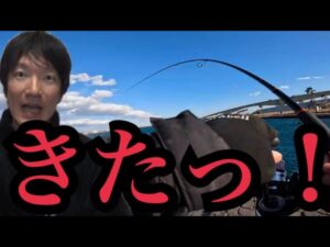 真冬の遠州灘サーフから浜名湖海釣り公園へランガンしたら…