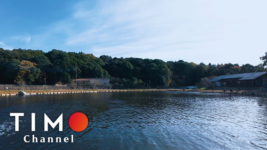 【ウォルトンガーデン】電車とバスで行く千葉県成田市の管理釣り場でエリアトラウト